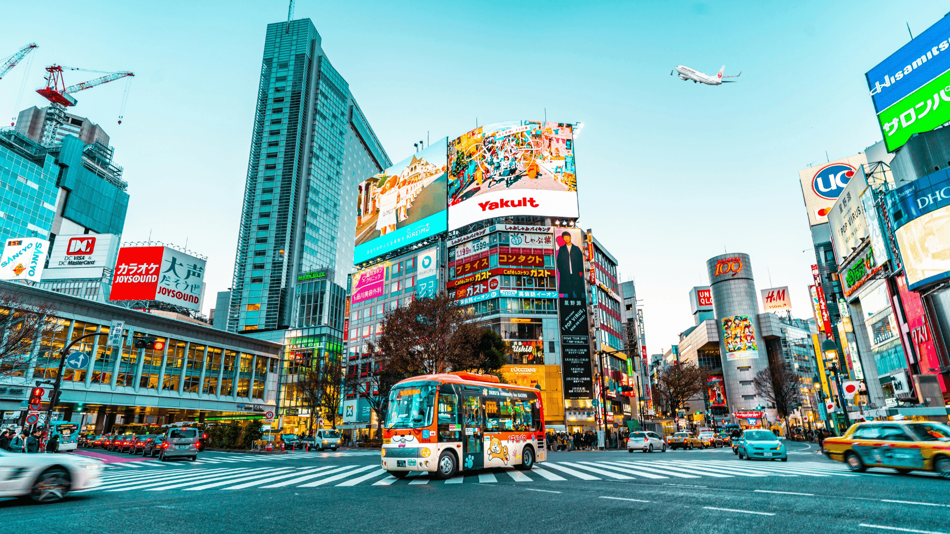なぜ欧州ではなく日本を選んだのか