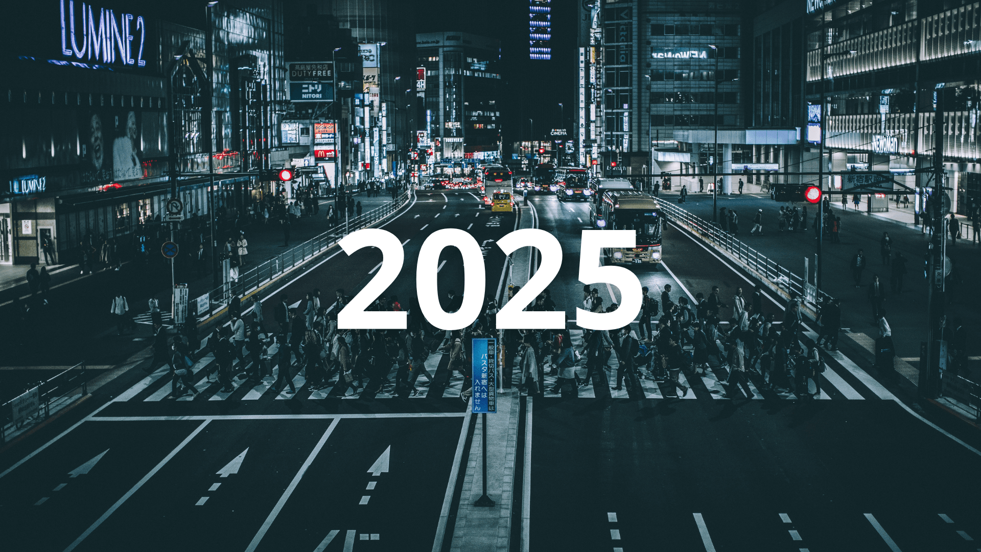 Japan’s IT Sector in 2025